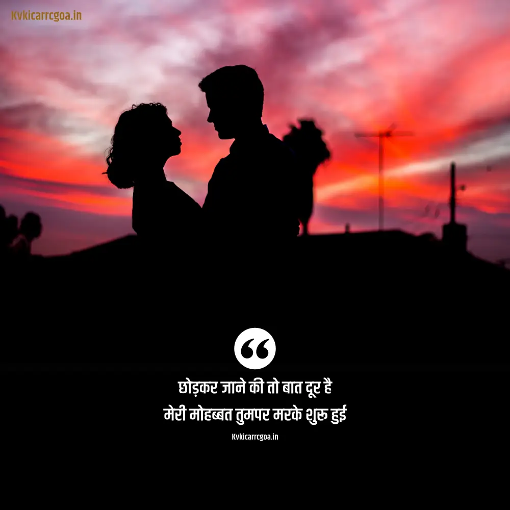 2 Line Love Shayari in Hindi For Boy Friend